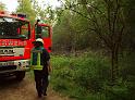 Waldbrand Bergisch Gladbach Bensberg P084